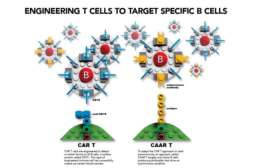 A graphic visually depicts how CAAR T cell therapy differs from CAR T cell therapy. The CAAR T cell has an antigen on its surface that binds selectively to only patient B cells with the antibody for that antigen, while CAR T cells bind with any B cells.